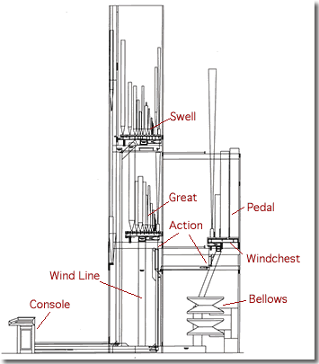 cross section